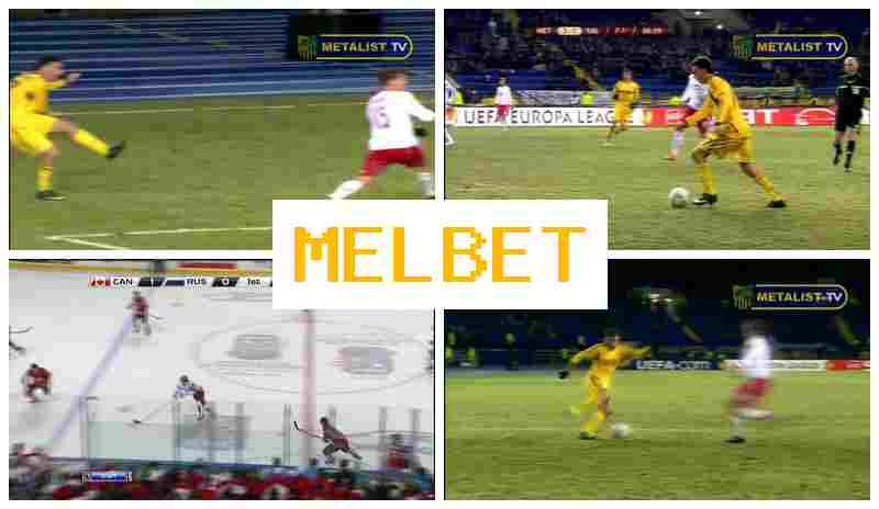 MSL BET 👍 Betting Company, Bonus on Registration, Official Page of the Betting Firm