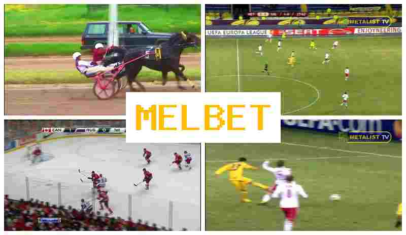 MEO BET 💲 Official Sportsbook, Create Account, Access Official Site, Sports Events Betting