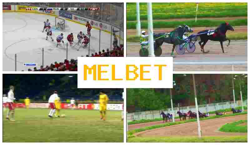 MEP BET 💴 Online Sportsbook