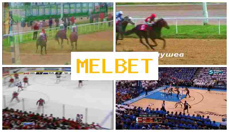 EMLBET 🌐 Online Betting Platform, Register, Login, Wager Online