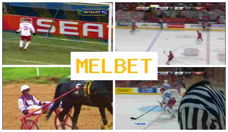 MLEBET 💶 Official Sportsbook Platform, Bet on Sports, Special Offers and Rewards