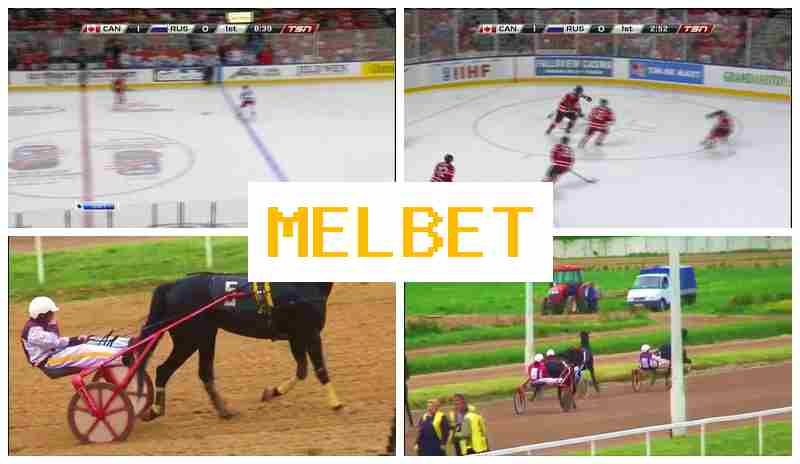 MEBLET ☘ Virtual Bookmaker, Bet on Sports
