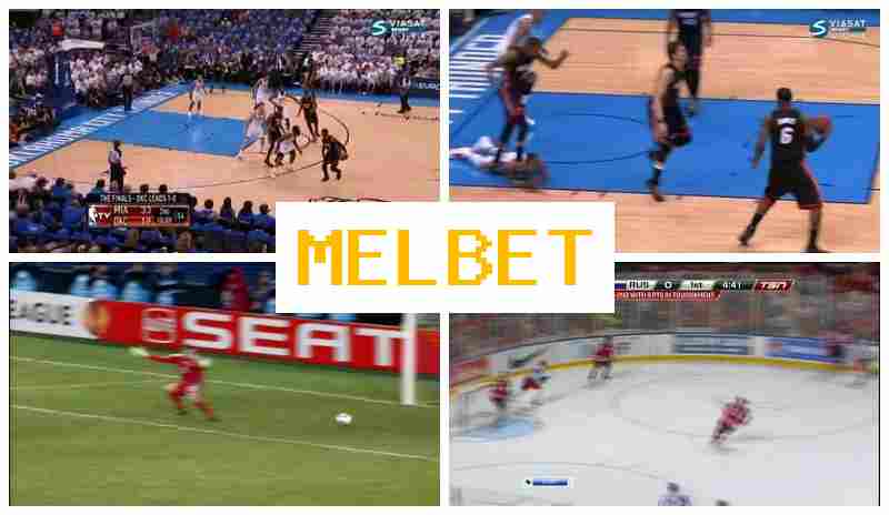 NELBET 💸 Bookmaker Company