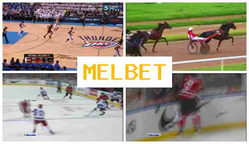 JELBET 🏆 Betting on Sports Events, Digital Sports Betting offering High Odds