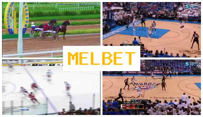 MEOBET 💷 Sportsbook