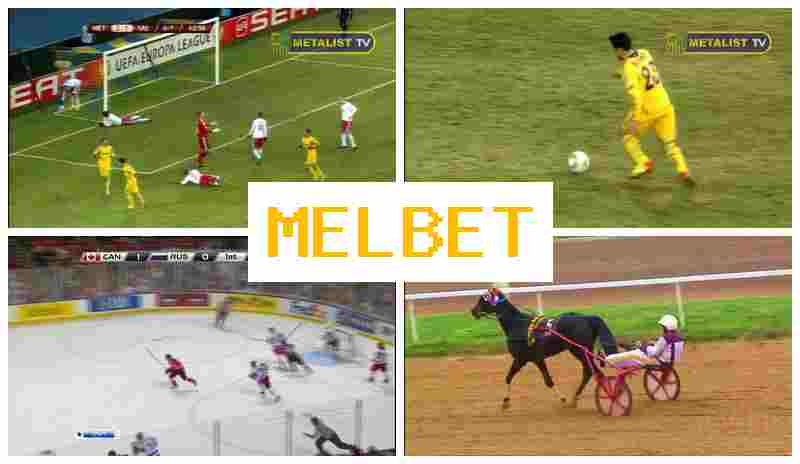 MELHET ▒ Bookmaker Company, Online
