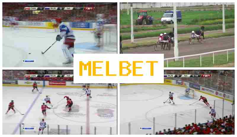 MELBDT 🔔 Betting Site Online, Sign In, Join Now, Wager on Sporting Events