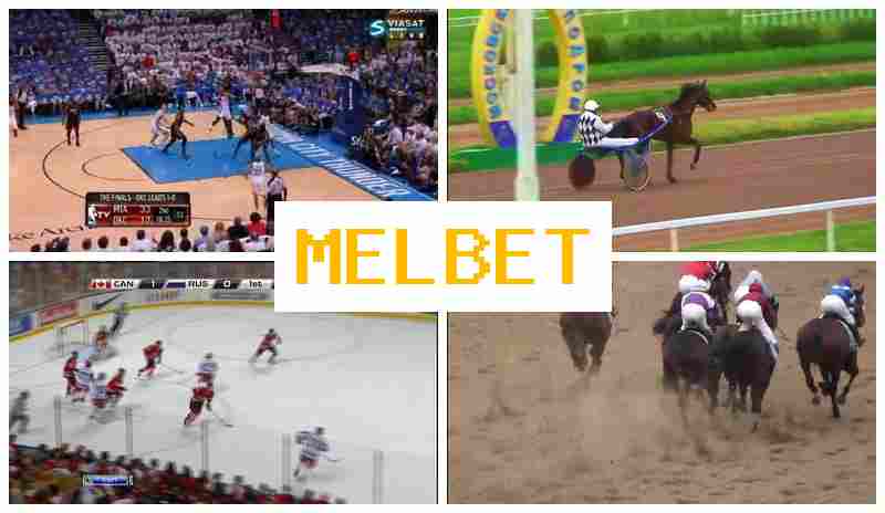 MLBET 🔔 Betting on Sports Events, Special Offers and Rewards
