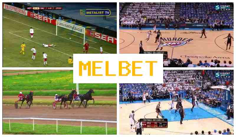 EL BET 💴 Sportsbook Online, Sign In, Registration, Sports Betting