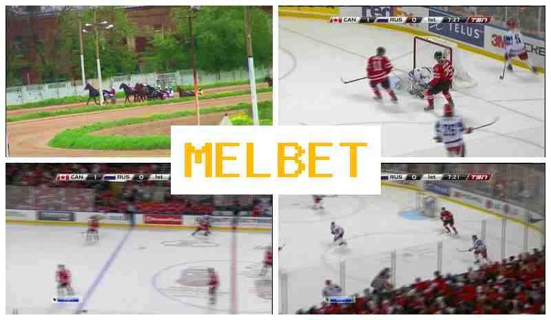 ML BET 🆗 Online Betting Platform Online, Create Account, Enter, Bet on Sports Events
