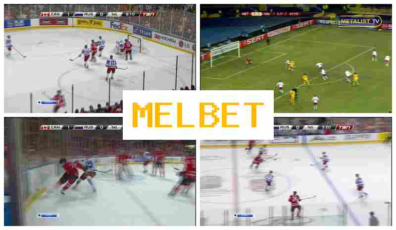 MEEL BET 💰 Bookmaker Platform