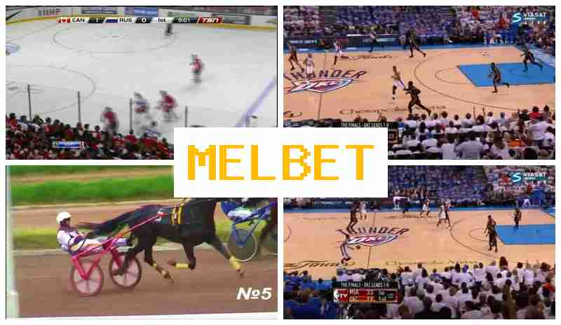 MLE BET 🔹 Authorized Betting Site, Place Sports Bets, Promotions and Special Offers