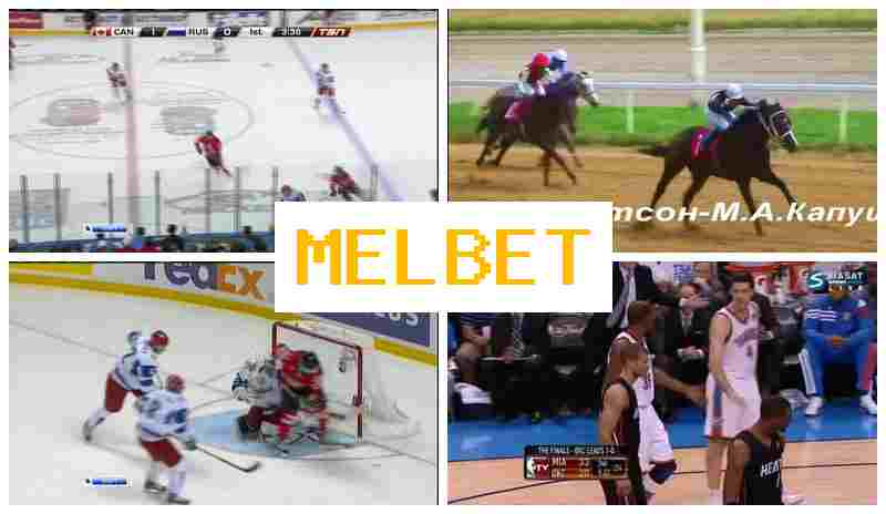 MEL EBT 🔷 Bookmaker Platform, Online, Sports Wagering