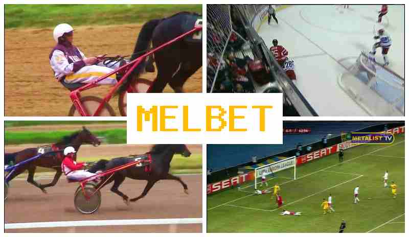 M4L BET █ Sportsbook, Online, Official Bookmaker Portal