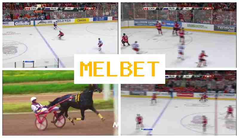 MDL BET 🎾 Verified Betting Company Site, Sports Betting, Bonuses and Free Bets