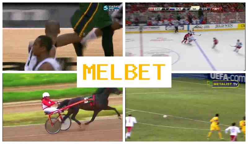 MSL BET 💶 Betting Firm, Online