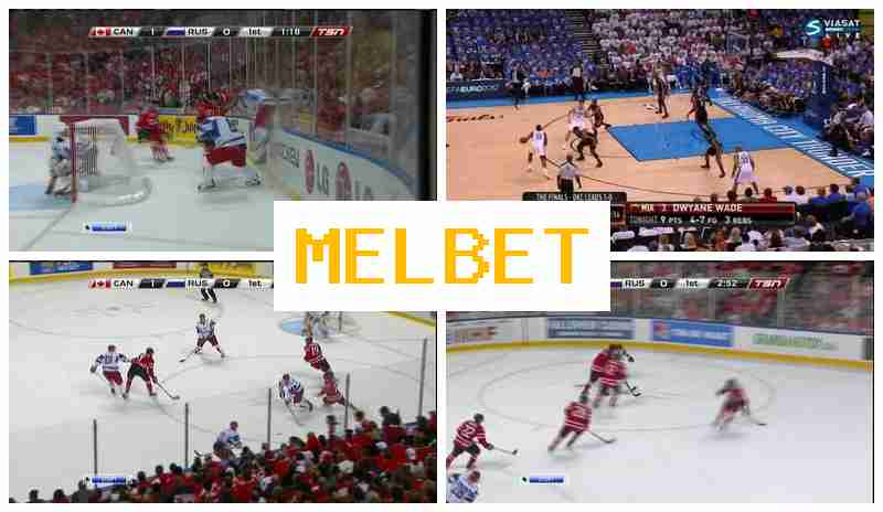 NELBET 🔹 Betting Company, Login, Register, Place Sports Bets
