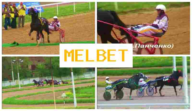 JELBET 🎾 Trusted Sportsbook Online, Place Sports Bets, Free Bets and Rewards JELBET 🎾 Trusted Sportsbook Online, Place Sports Bets, Free Bets and Rewards