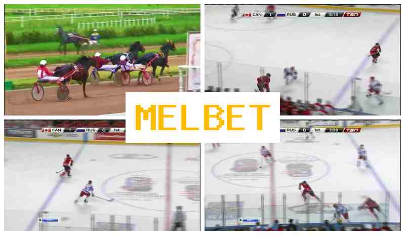 MELVET 💲 Bookmaker Platform, Free Bets, Authorized Bookmaker Portal