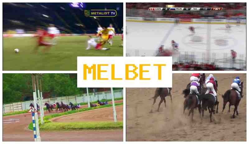 MLBET ▓ Live Betting on Sports, Bonus Offers