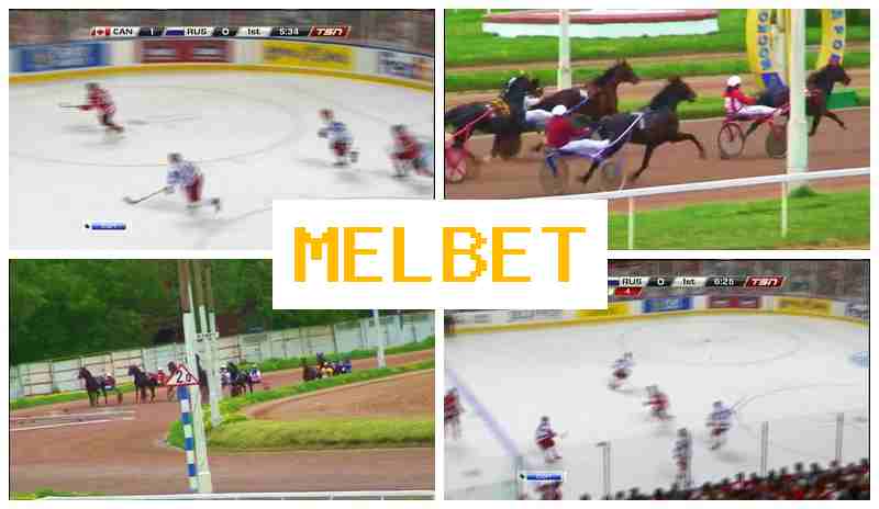 MELBEF 💲 Sports Betting, Internet with Competitive Odds