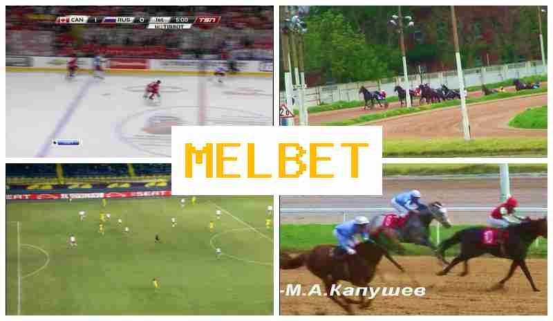 ML BET █ Online Betting Company, Create Account, Access Official Site, Place Sports Bets