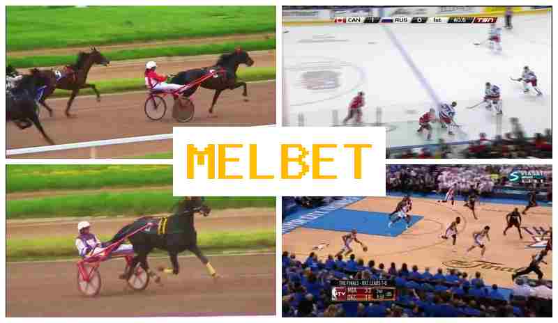 MLE BET 🆗 Place Your Sports Bets, Digital Sports Betting offering Top-Rated Odds