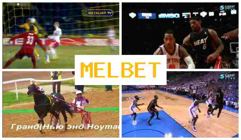 MELB ET 🔔 Sportsbook, Official Site of the Betting Company