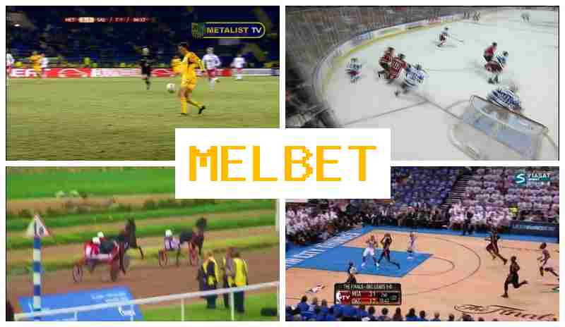 NEL BET ⚽ Top Betting Company Online, Register, Access Official Site, Sports Betting