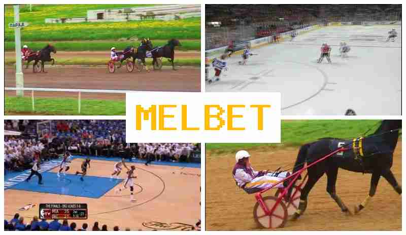 MSL BET 🔔 Gambling Operator, New Player Bonus