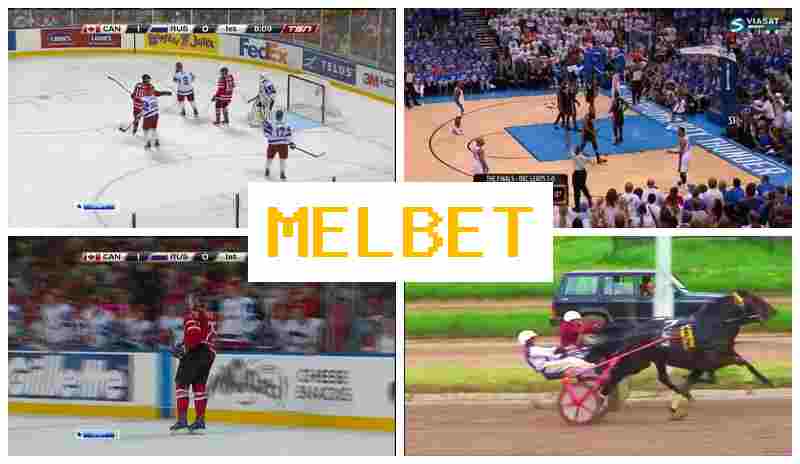 MEO BET 🔶 Betting on Sports Events, Special Offers and Rewards, Official Site