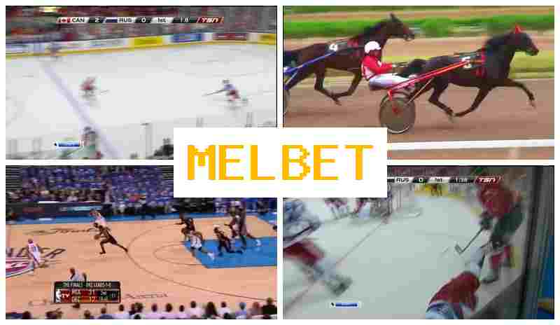 MEL VET ✔️ Place Your Sports Bets, Digital Sports Betting offering Premium Odds
