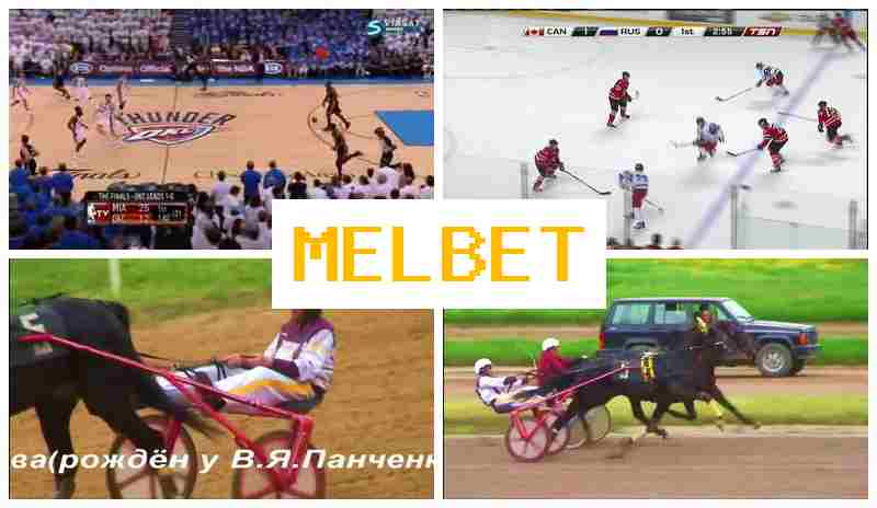 MEL GET 💯 Bookmaker Company MEL GET 💯 Bookmaker Company