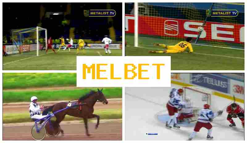 MEL BDT 💯 Bookmaker Company, Free Bet, Live Sports Events