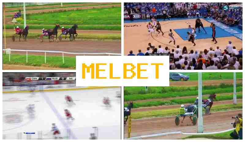 MLEBET 💵 Sports Betting, Promotions and Bonuses, Official Bookmaker Site
