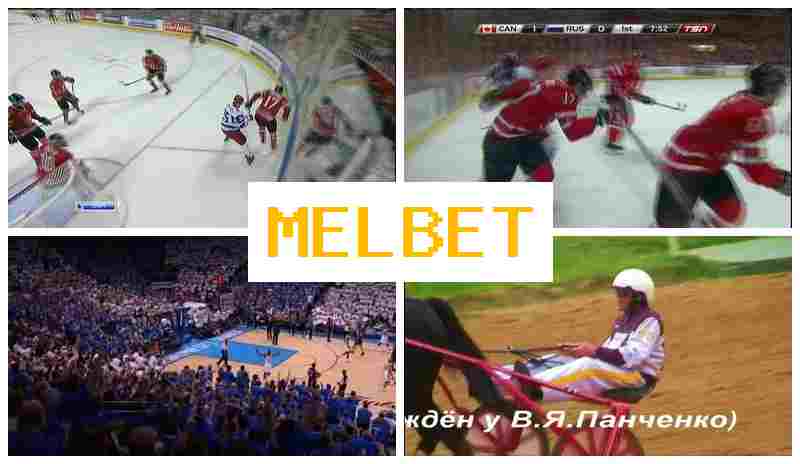 MELEBT 🔸 Online Betting Company, Sign Up, Enter, Wager Online