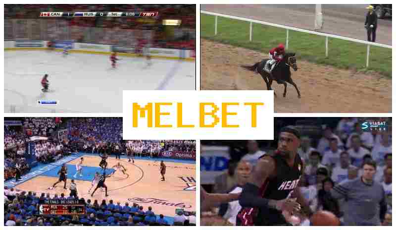 NELBET 🔸 Sportsbook Bets, Digital Sports Betting offering Best Possible Odds