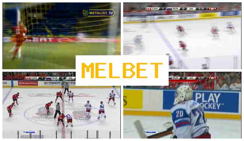 MELVET 🆓 Betting Firm, Online, Official Bookmaker Portal