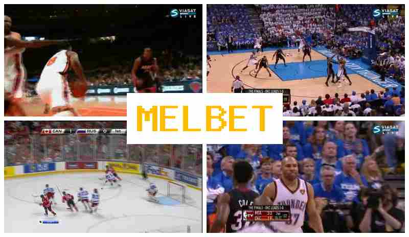 MELB3T 🔹 Bookmaker Platform, Online