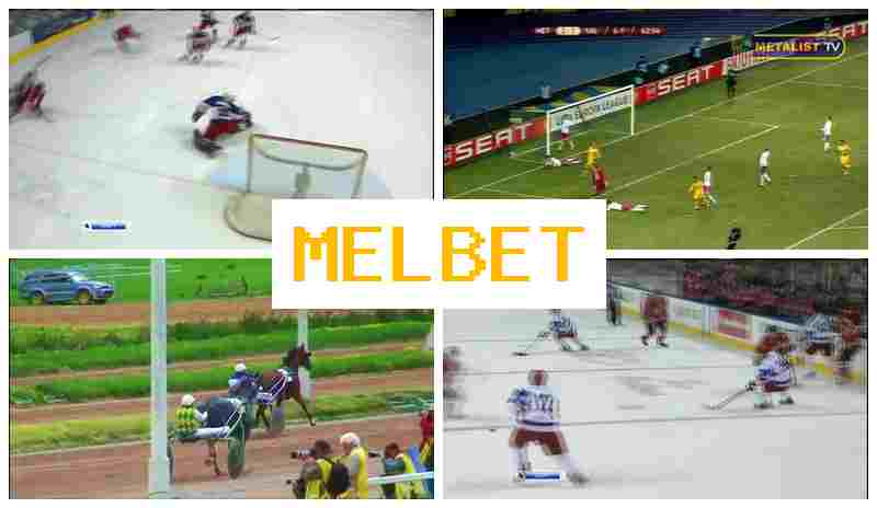 MELB4T 💸 Bookmaker Platform