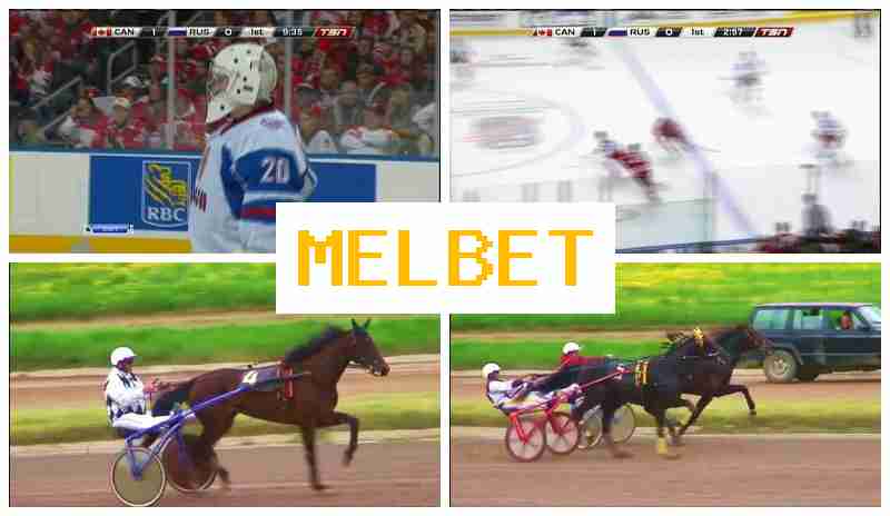 ML BET ⚡ Online Sports Betting, New Player Bonus, Official Platform of the Bookmaker