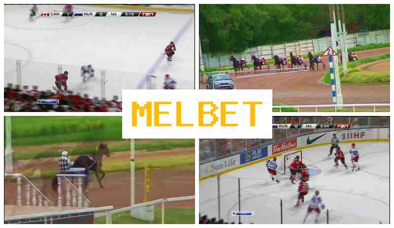 MEL EBT ☑️ Online Bookmaker, Enter Official Platform, Join Now, Wager on Sporting Events