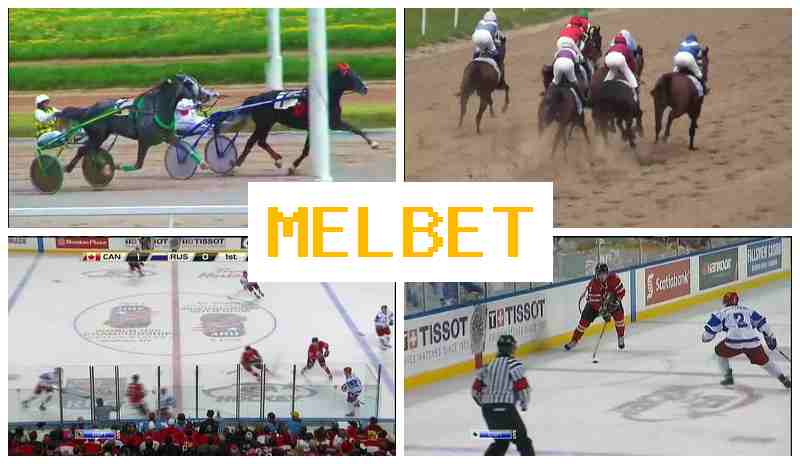 NEL BET 🔷 Online Sports Wagering, Introductory Bonus, Verified Site of the Betting Operator