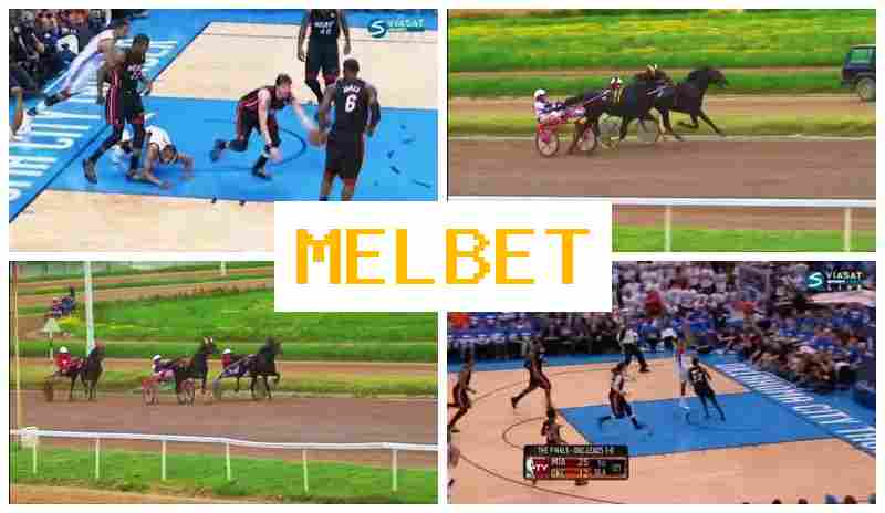 M4L BET 🆓 Betting Office