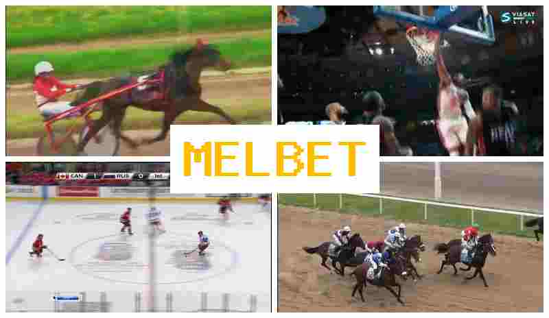 MSL BET ☑️ Authorized Betting Site, Place Sports Bets, Free Bets and Rewards