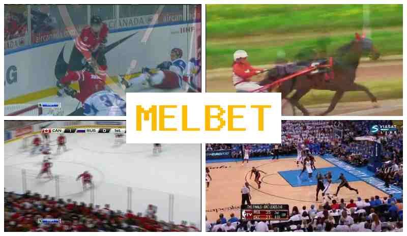 MEO BET 🔹 Bet on Sports with Top Odds