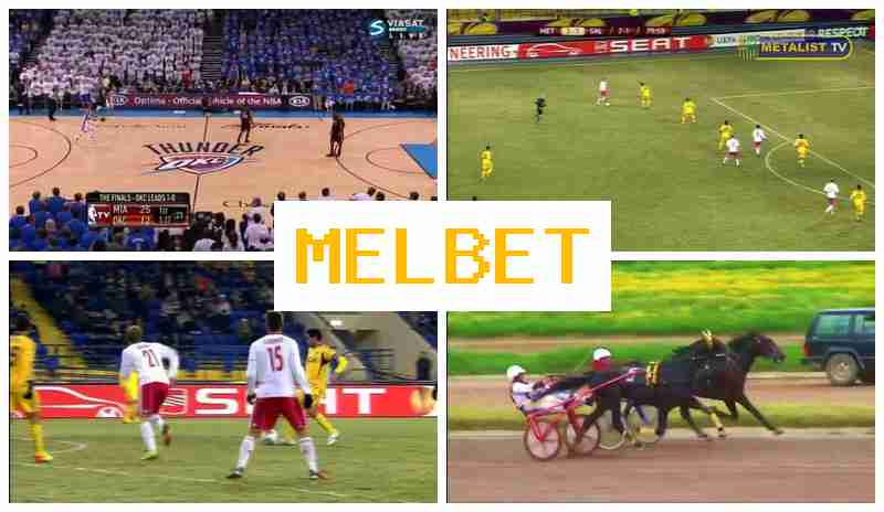 MEL VET █ Betting Company, Deposit Bonus, Official Platform