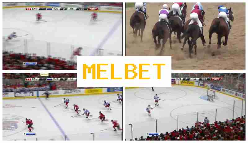 MEL BRT 🔶 Bookmaker Company, Online