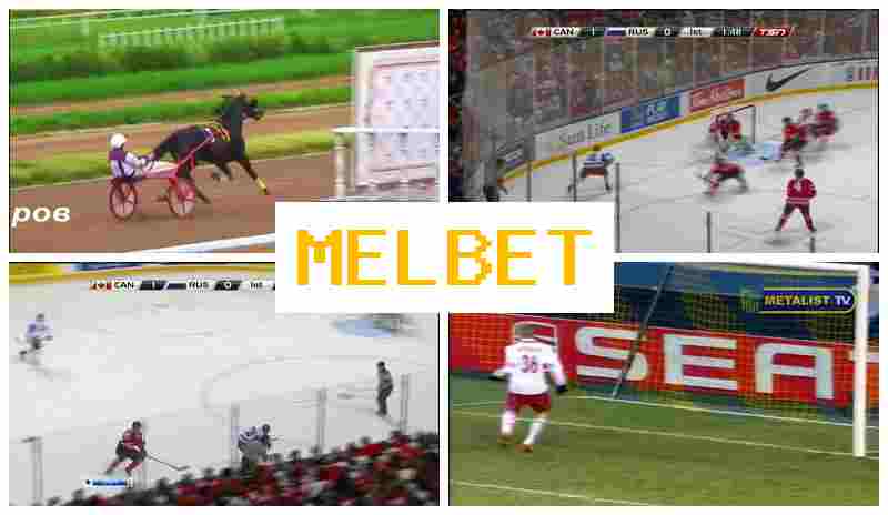 MDL BET 🔔 Букмекерская контора, вход на официальный сайт, регистрация, ставки на спортивные события