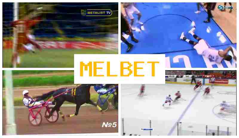 MEO BET ⚾ Ставки на события спорта, бонусы и фрибеты, официальный сайт букмекера
